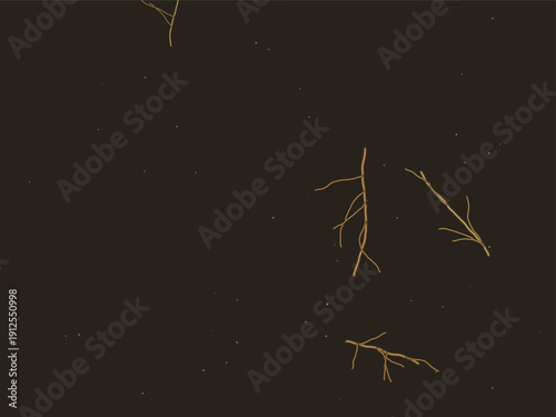 Luxury marble texture pattern with delicate golden veining on deep black background for elegant design