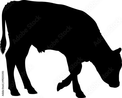 baby cow silhouette vector illustration