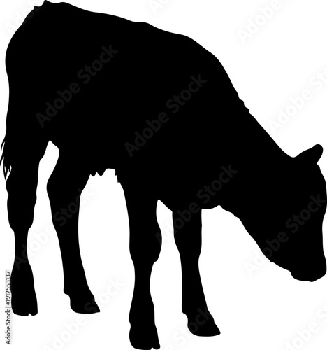 baby cow silhouette vector illustration
