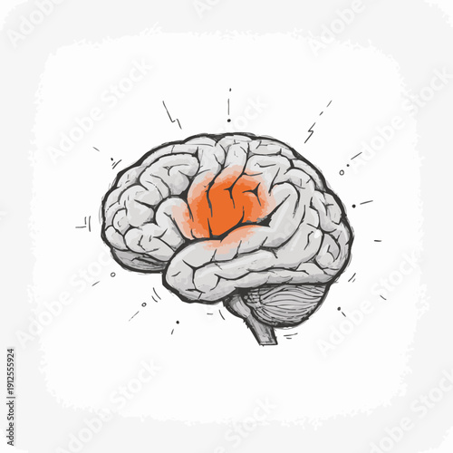 An illustration of the human brain highlighting the speech center. This image shows the anatomy of the brain, specifically focusing on the area related to language and communication