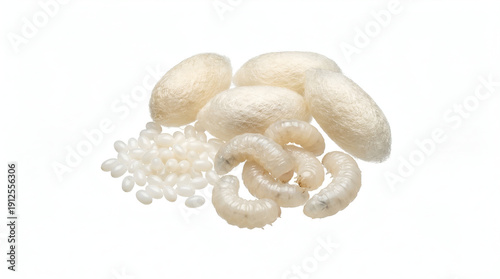 Photos Silkworm eggs, white silkworm larvae, and natural raw silk cocoons isolated on c