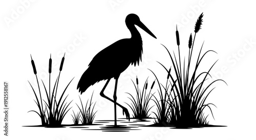Black silhouette of a stork standing in a swamp with reeds and cattails, vector illustration.