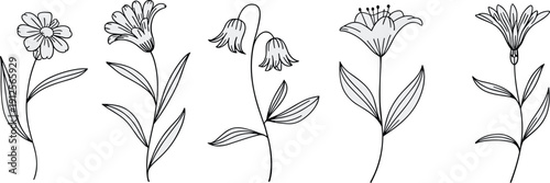 Hand drawn wildflower line art set with minimal botanical floral outlines, elegant nature sketches for coloring pages, tattoo design, stationery, and decorative projects