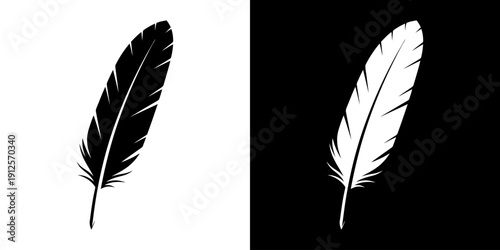 Black and White Feather Illustration.