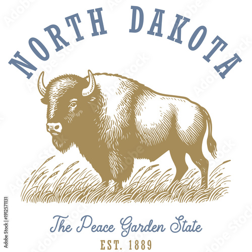 Vintage North Dakota illustration featuring a powerful bison standing in prairie grass with classic retro typography. Retro vector illustration