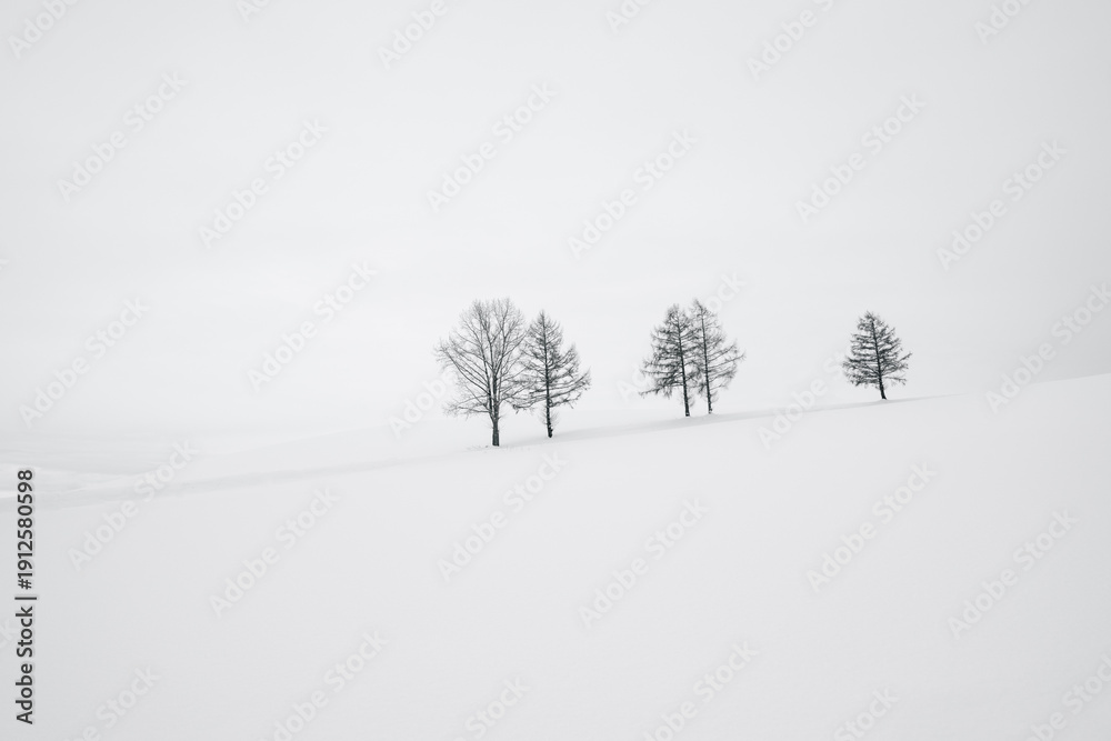 Fototapeta premium trees in snow