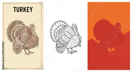 Three different styles of turkey illustrations on a cream background.