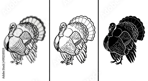Three stylized turkeys in different artistic styles and colors.