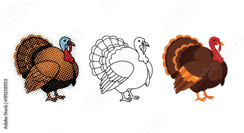 Three Turkeys Illustration Different Styles Isolated White Background.