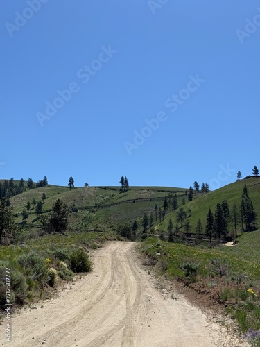 Dirt road winding through green hills near Lake Chelan, rural landscape in Washington state.