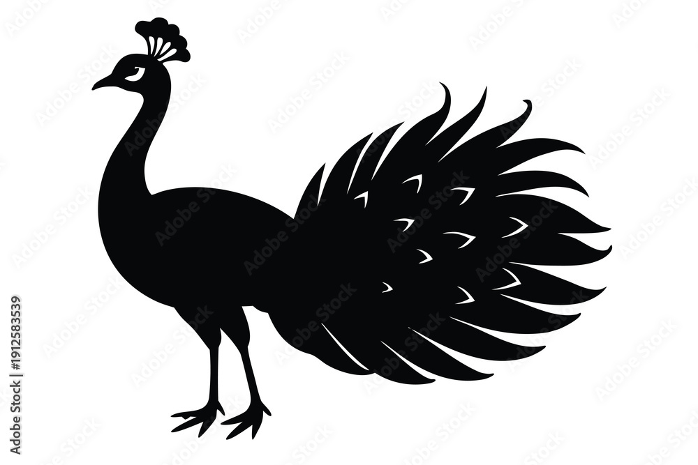 Fototapeta premium Peacock, Bird Silhouette
