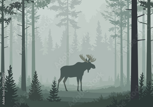 A majestic moose standing in a serene forest glade surrounded by tall trees viewed from a distance