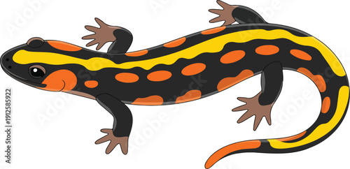 Cute Salamander Line Icon Collection – Nature, Wildlife, and Reptile Fun