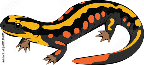 Cute Salamander Line Icon Collection – Nature, Wildlife, and Reptile Fun