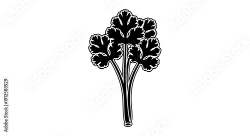 A simple black and white illustration of a plant with large leaves.