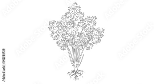 A simple black and white illustration of a bouquet of flowers with visible roots.