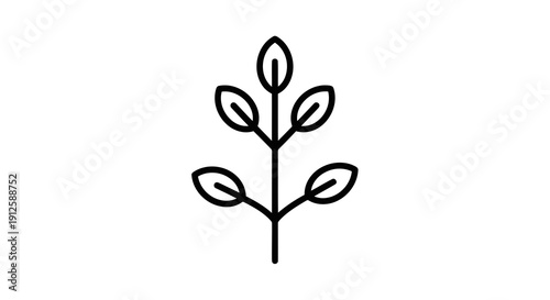 Simple line drawing of a plant with three leaves on each stem.