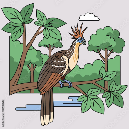 Hoatzin bird perched on a tree branch in a lush tropical forest with green trees and a small stream