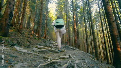 man in forest