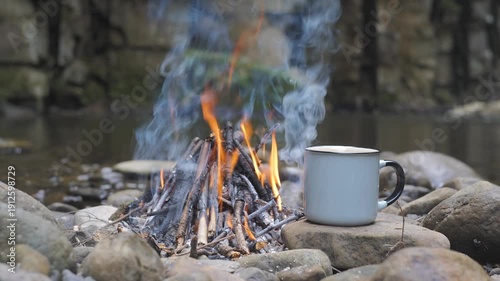 cup of tea in the forest