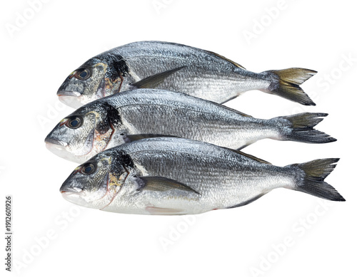 Three Fresh Silver Fish Prepared for Culinary Presentation on Transparent Background with Healthy Appeal
