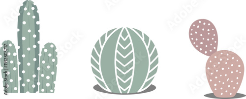 Cactus & Succulent Vector Set  Cute Decorative Indoor Plants