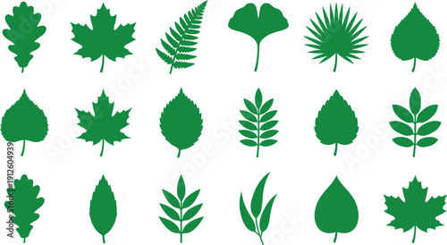 Green leaf icons set with different foliage shapes, perfect for botanical logos, eco branding, nature decoration and organic product design