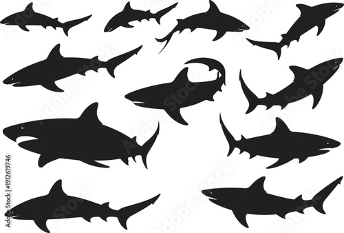 Set of Shark Silhouettes in Different Poses Isolated on White Background Marine Predator Ocean Wildlife Vector Collection