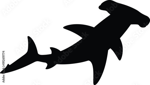 Hammerhead Shark Silhouette with Wide Head and Fins Isolated on White Background Marine Wildlife Vector Illustration