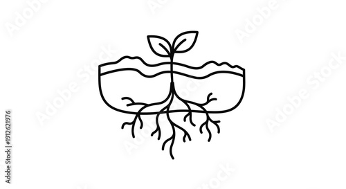 Growing plant in pot with roots simple line art silhouette