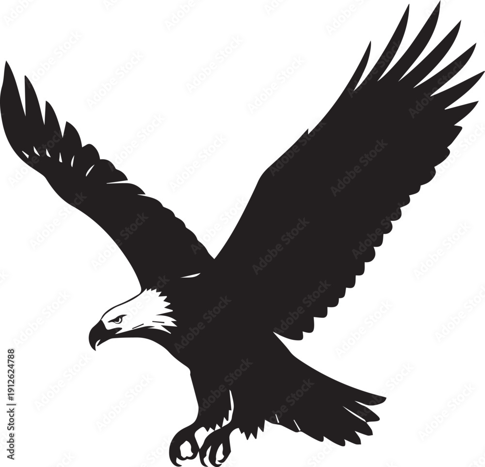 Obraz premium Eagle flying vector illustration with powerful wingspan silhouette and detailed line art head