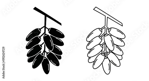 Vector illustration of a date fruit bunch, presented in both solid black silhouette and outline styles, isolated on a transparent background.