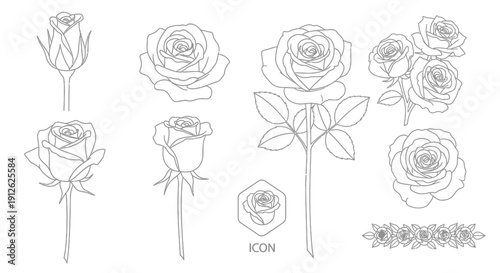 A collection of delicate hand drawn rose illustrations in varying stages of bloom presented in a minimalist line art style