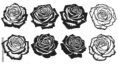 A collection of eight monochrome roses displayed in a grid pattern showcasing varying bloom stages and detail high quality