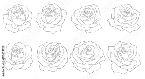 A collection of eight delicately drawn rose outlines presented in a grid like arrangement on a white background high quality