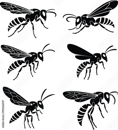 Flying wasp and hornet silhouettes collection showing detailed insect poses, black vector bugs isolated on white background for nature, pest, and design projects