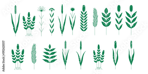 Various green plants and leaves in elegant illustrations