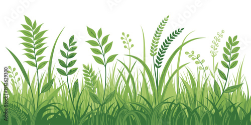 Lush green grass and plants growing naturally outdoors