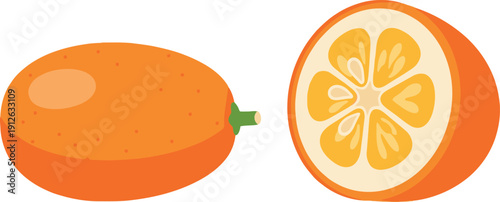 Illustration of a whole and halved kumquat fruit