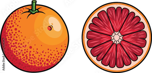 Grapefruit halved and whole illustration
