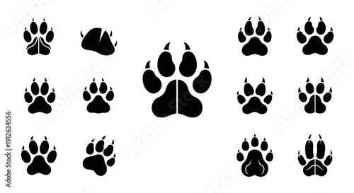 Collection of various animal paw prints.