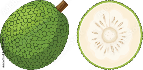 A green whole and halved fruit on a white background