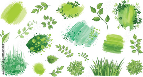 Watercolor green leaves and foliage elements isolated on transparent background