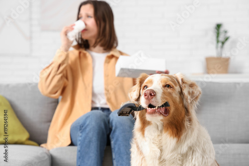 Dog with brush and young sn...