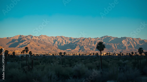 Palm trees and desert mountain panorama in Palm Springs, Coachella Valley landscape, California