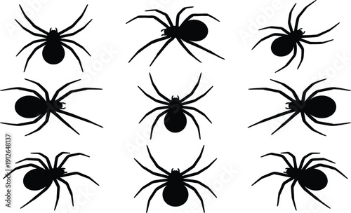 Spider silhouette collection, creepy arachnid insect set in different poses, Halloween horror design, black flat vector illustration