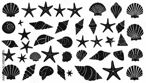 Collection of various ocean creatures and shells depicted in black silhouettes on a clean background from a straightforward viewpoint