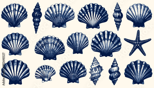 A collection of blue seashells and a starfish arranged neatly on a clean surface from a top view