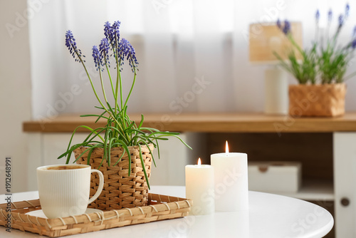 Beautiful Muscari flowers, ...
