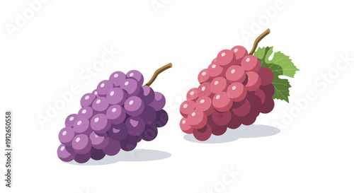 Two bunches of ripe grapes, one purple and one red, casting soft shadows